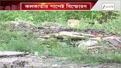 Rajarhat Explosion | রাজারহাটে বোমা নিষ্ক্রিয় NIA-এর | Zee 24 Ghanta