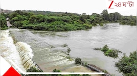 প্রবল বৃষ্টি, ছাড়া হচ্ছে বিপুল জল, নদীগুলিতে বাড়ছে জলস্তর! ভয়ংকর বিপন্ন উত্তর 