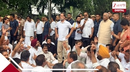 'চুপ কেন, ক্ষমা চান!', শিক্ষার্থীদের ওপর পুলিসি ‘বর্বরতা'য় মোদীকে বিঁধলেন রাহুল