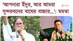 Mamata Banerjee | 'আপনারা ইঁদুর, আর আমরা সুন্দরবনের বাঘের বাচ্চার মতো লড়াই করি'