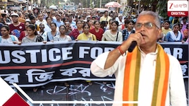 গ্রিন করিডোর করে অভয়ার দেহ শ্মশানে, নান্টু ঘোষ হয়ে গেল অভিভাবক, মমতা নিজে করিয়েছেন