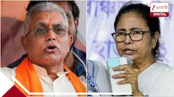 মমতার বিরুদ্ধে FIR! বিস্ফোরক অভিযোগ, আন্তর্জাতিক আদালতে যেতে বললেন দিলীপ ঘোষ
