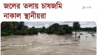 Jhargram Waterlogged | ঝাড়গ্রামে টানা বৃষ্টিতে জলমগ্ন হাজার বিঘা জমি