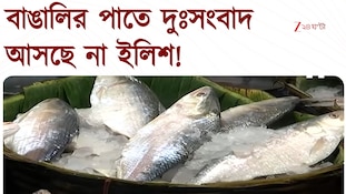 Ilish Fish | উলটপুরাণ ইলিশে, রান্নাপুজোয় মিলবে না বাংলাদেশি ইলিশ 