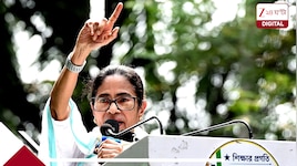 উপনির্বাচনের আগেই কালীঘাট তৃণমূলে বড়ধাক্কা:হাইকোর্টের বিরাট রায় মমতাকে নিয়ে তোলপাড়