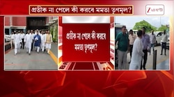 TMC News | উপনির্বাচনে জোড়াফুলের 'মালি' কে? | Zee 24 Ghanta