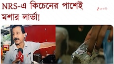 সেন্ট্রাল কিচেনের পাশে ডেঙ্গির লার্ভা, খবর করতে গেলে চোটপাট! | Zee 24 Ghanta