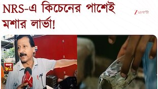 সেন্ট্রাল কিচেনের পাশে ডেঙ্গির লার্ভা, খবর করতে গেলে চোটপাট! | Zee 24 Ghanta