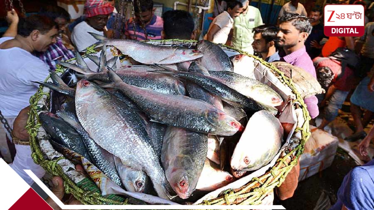 গুজরাটের ডিমভর্তি ইলিশ আমদানিতে নিষেধাজ্ঞা বাংলাদেশের, কলকাতাতেও পাঠাচ্ছে না পদ্মার ইলিশ! গুজরাটের ডিমভর্তি ইলিশ আমদানিতে নিষেধাজ্ঞা বাংলাদেশের, কলকাতাতেও পাঠাচ্ছে না পদ্মার ইলিশ!