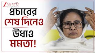 প্রচারের শেষদিনেও উধাও Mamata Banerjee! হার নিশ্চিত জেনেই ওয়াকওভার? | Zee 24 Ghanta