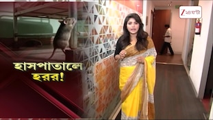 Maniktala ESI | মানিকতলা ইএসআই হাসপাতালে 'নরখাদক' ইঁদুর! | Zee 24 Ghanta
