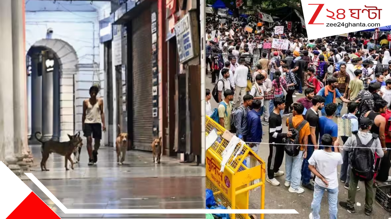 ইন্টারনেট নেই, কাজ করছে না UPI: বন্ধ মেট্রো-ট্রেন, নেই খাবার জলও– সিজেপির আন্দোলনে দিল্লিতে হাজার হাজার নাগরিকের নারকীয় পরিস্থিতি ইন্টারনেট নেই, কাজ করছে না UPI: বন্ধ মেট্রো-ট্রেন, নেই খাবার জলও– সিজেপির আন্দোলনে দিল্লিতে হাজার হাজার নাগরিকের নারকীয় পরিস্থিতি