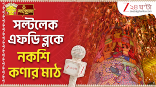 জি ২৪ ঘণ্টা পুজো পরিক্রমায় আমরা এবার FD Block-এ, সেজে উঠেছে মন্ডপ! 