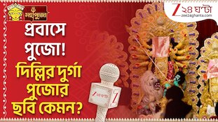 বাংলা ছাড়িয়ে প্রবাসে পুজো! দিল্লির Vasundhara Enclave দুর্গা পুজোর ছবি কেমন?