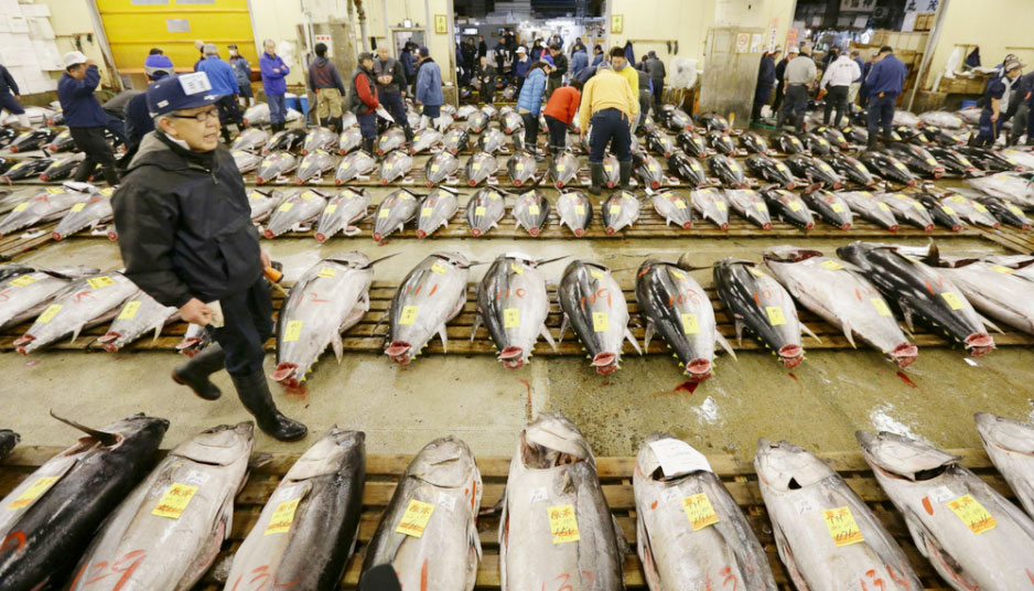 Tsukiji fish market