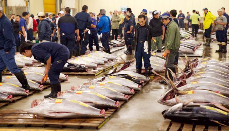 Tsukiji fish market