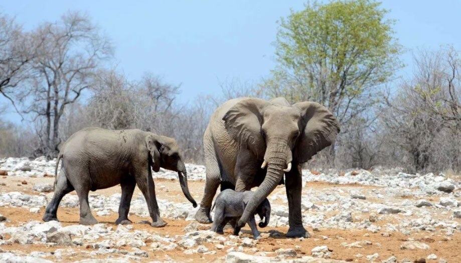 Namibia