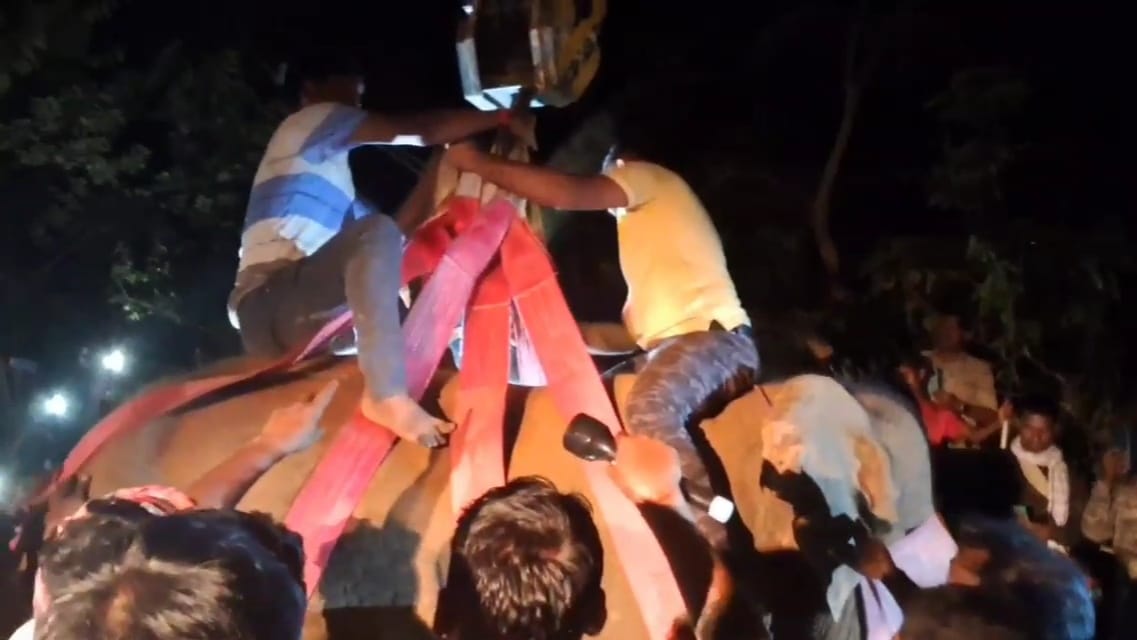 ওষুধে কাবু বুনো হাতি