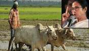 রাজ্যের সব কৃষককে শস্যবিমা দেবে সরকার, বড় ঘোষণা মুখ্যমন্ত্রীর রাজ্যের সব কৃষককে শস্যবিমা দেবে সরকার, বড় ঘোষণা মুখ্যমন্ত্রীর