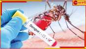 Dengue Meeting: ডেঙ্গি পরিস্থিতি বেগালাম! মুখ্যমন্ত্রী নির্দেশে নবান্নে জোড়া বৈঠক 