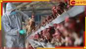 Bird Flu in Jharkhand: সাবধান, দুয়ারে বার্ড ফ্লু! পুরুলিয়া, আসানসোল পেরিয়ে ঢুকে পড়ল বলে...