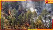 Nainital Forest Fire: জনবসতিতে ঢুকে আসছে আগুন! নৈনিতালে ভয়াবহ দাবানল... 