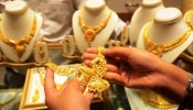 Gold Price: সাত দফায় কমল সোনার দাম, জেনে নিন আজকের দর