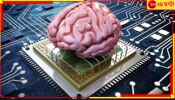 First &#039;Brain&#039; Computer: নুন আর জল দিয়ে বিজ্ঞানীরা তৈরি করে ফেললেন বিশ্বের প্রথম &#039;ব্রেন কম্পিউটার&#039;!