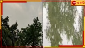 Rain Relief in Bengal: মাটি থেকে উড়ছে ধোঁয়া, অবশেষে শান্তির বৃষ্টি নামল বাংলায়