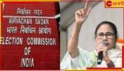 West Bengal Lok Sabha Election 2024: প্রথম দু&#039;দফায় ভোটের &#039;প্রকৃত হার&#039; কত? এবার কমিশনের দ্বারস্থ তৃণমূল!