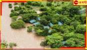 Kenyan Floods: এল নিনোর জেরে হওয়া প্রবল বৃষ্টি ডেকে এনেছে ভয়াবহ এক প্লাবন! প্রায় ২০০ মৃত্যু, নিখোঁজ ২ লক্ষ...