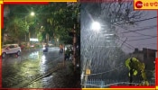 Thunderstorm in Bengal: কালবৈশাখীর দাপট রাজ্যে, মৃত অনেকে