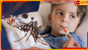Dangue Mosquito: মেয়েদের তুলনায় ছেলেদেরই বেশি কামড়ায় ডেঙ্গির মশা, কারণ জানলে তাজ্জব হবেন