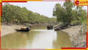 Sundarbans: সুন্দরবনে গুলির লড়াই! চোরাশিকারিদের গুলিতে &#039;খুন&#039; বনকর্মী...
