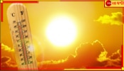 Heatwave: তাপমাত্রার &#039;হাফ সেঞ্চুরি&#039;! ৫০-য়ে হাঁসফাঁস জনজীবন, হিটস্ট্রোকে মৃত্যু দেশ জুড়ে তৈরি করেছে ঘোর আতঙ্ক...