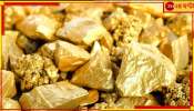 Largest Gold Mine In India: বিহারে বিরাট স্বর্ণভাণ্ডারের খোঁজ, ভারত হবে বিশ্বসেরা! শীঘ্রই শুরু হবে খনন...