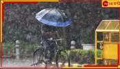 Monsoon | Weather Update: আরও বাড়বে বৃষ্টি! রাজ্যে কি বর্ষা চলে এল? মৌসুমী বায়ু কি ঢুকে পড়েছে বাংলায়?