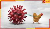 Advisory on Bird Flu: নতুন আতঙ্ক? বার্ড ফ্লু নিয়ে সতর্কতা জারি প্রশাসনের...