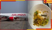 Air India Meal: এয়ার ইন্ডিয়ার ফ্লাইটে সিটে এল খাবার, খুলতেই বেরোল ব্লেড...