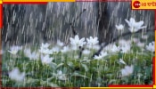 Bengal Weather Update: আর মাত্র কয়েকঘণ্টার মধ্যেই বর্ষা ঢুকছে দক্ষিণবঙ্গে! কতদিন চলবে এই প্রথম স্পেল?