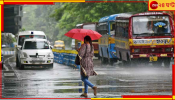 Bengal Weather: দক্ষিণে বর্ষা এলেও স্বস্তির বৃষ্টি বহুদূর! বাড়বে ঘাম, গরম, অস্বস্তি...