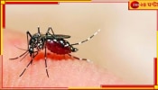 Dengue cases: বর্ষার শুরুতেই ডেঙ্গি দাপট, বাড়ছে আক্রান্ত, বৈঠকে প্রশাসন