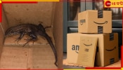 Amazon package: গোখরোর পর এবার আস্ত গিরগিটি! অ্যামাজন প্যাকেজে নতুন আতঙ্ক...