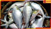 Hilsa| Bangladesh: রফতানি বন্ধ, বাংলাদেশে হু হু করে কমল ইলিশের দাম