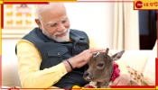 PM Narendra Modi With Calf: প্রধানমন্ত্রীর পরিবারে নতুন অতিথি, নাম রাখলেন &#039;দীপজ্যোতি&#039;