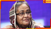 Sheikh Hasina: চলতি সপ্তাহেই ভারতে থাকার বৈধ মেয়াদ শেষ, হাসিনার ভাগ্য নিয়ে তুঙ্গে জল্পনা 