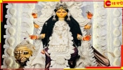 Jagaddhatri Puja 2024: ষষ্ঠীর সন্ধ্যাতেই জমজমাট আলোর শহর...  