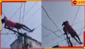 WATCH | Drunk Man on Electric Pole: &#039;মদ খাওয়ার টাকা দাও!&#039; মা মুখ ফেরানোয় ছেলে রাগে সটান ইলেকট্রিক তারের উপর...