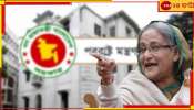 Sheikh Hasina: শেখ হাসিনার বিরুদ্ধে ইন্টারপোলের রেড নোটিস! এবার বাংলাদেশ জানাল...