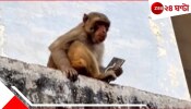 Monkey Business: একলাখি ফোন ছিনিয়ে একলাফে কার্নিশে উঠল বাঁদর, শেষপর্যন্ত....